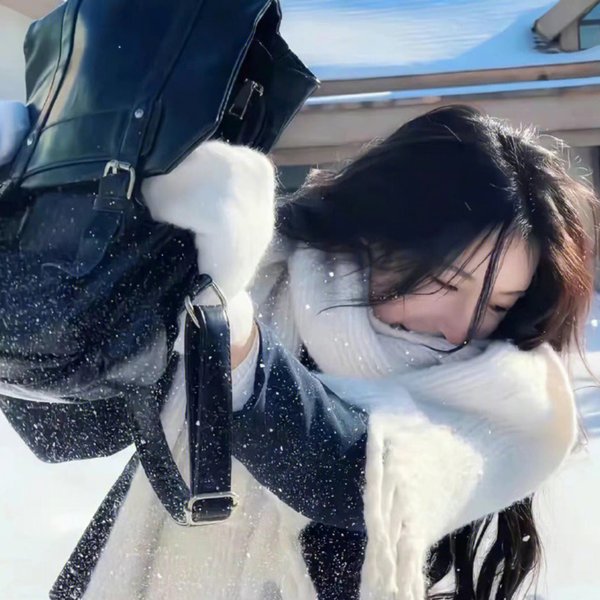 完美的人